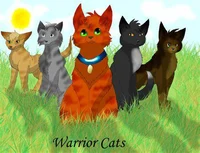 Warrior cats rpg