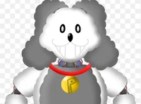 Percy Poodle