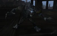 A feral worgen