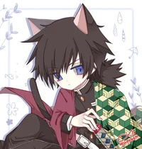 Cat Giyuu Tomioka