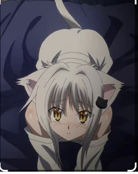 Nekomatta 
