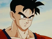 Future Gohan