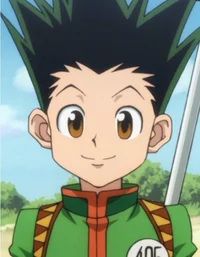 Gon Freecss
