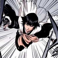 Soi fon