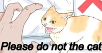 please do not cat