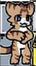 Cat kolin