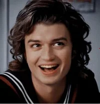 steddie -scoops ahoy