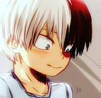 Shouto Todoroki