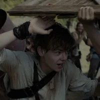 Newt