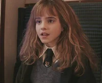 Harry potter wand rp