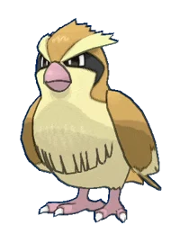 Pidgey