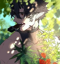 Koa 