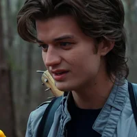 steve harrington
