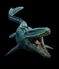 Mosasaurus