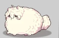 Nagi Seishiro Gatito