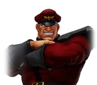 M bison