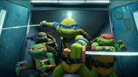 Tmnt - Mutant Mayhem