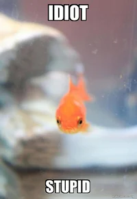 Stupid Fish