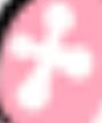 pink_hibiscus_resort