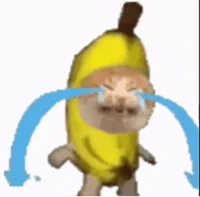 Bananacat