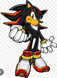 Shadow the hedgehog 