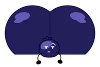 Blueberry 