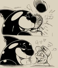 Cute Killerwhale