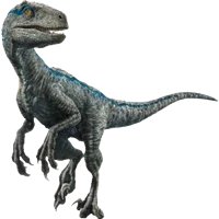 Velociraptor blue