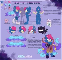 Skye the hedgehog