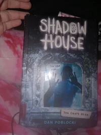 Shadow house 