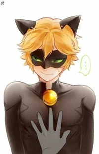 Cat noir