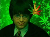 harry pothead
