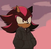 Shadow The Hedgehog