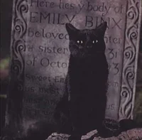 Thackery Binx