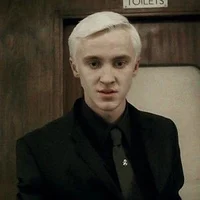 Draco step-brother