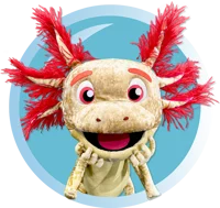I am Axl the Axolotl