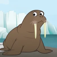 Walrus