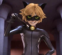 chat noir 