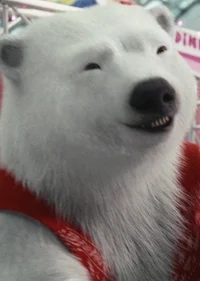 Jimmy the polar bear