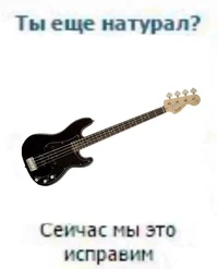 Bass guitar 