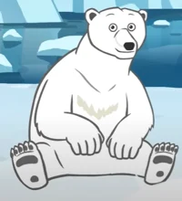 Polar Bear