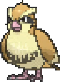 Pidgey