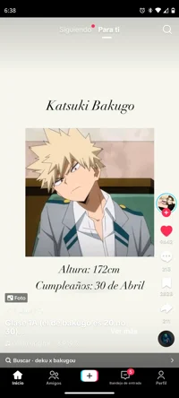 Bakugou katsuki 