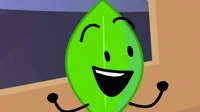 Leafy BFB