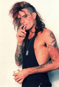 Tommy Lee- abusif