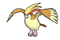 Pidgeot