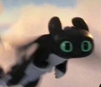 Ruffrunner
