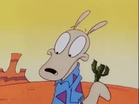 Rocko