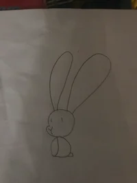 Bunni