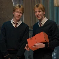 Twins Weasley